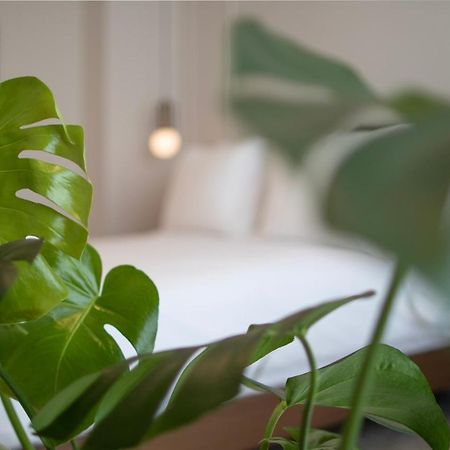 Mythodea Athens Suites Ngoại thất bức ảnh