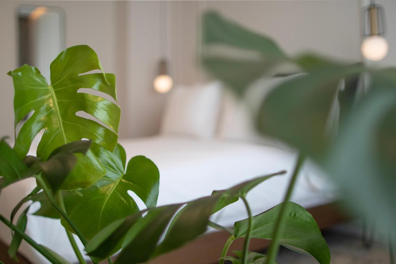 Mythodea Athens Suites Ngoại thất bức ảnh