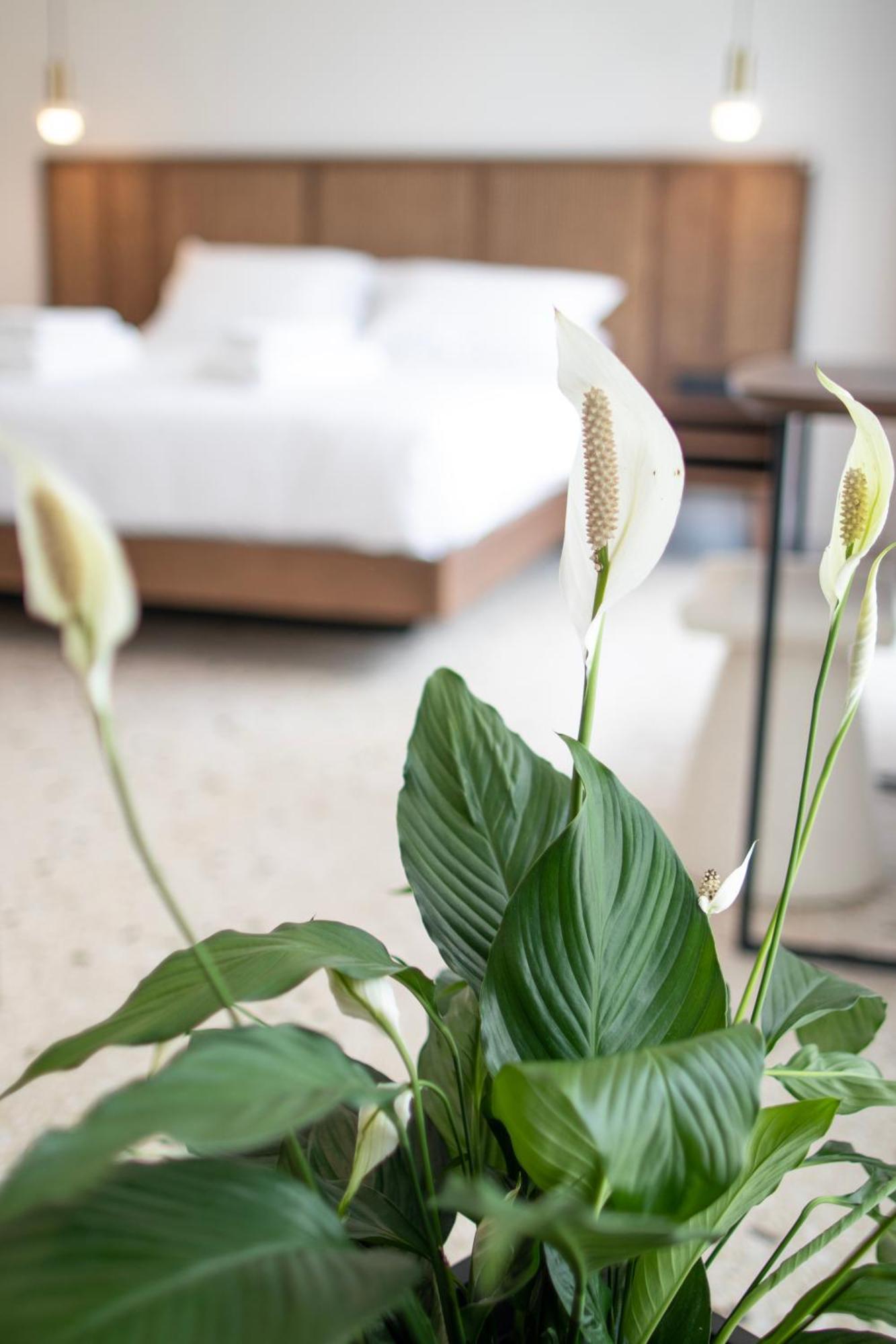 Mythodea Athens Suites Ngoại thất bức ảnh