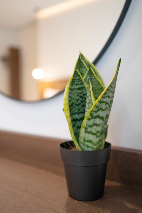 Mythodea Athens Suites Ngoại thất bức ảnh